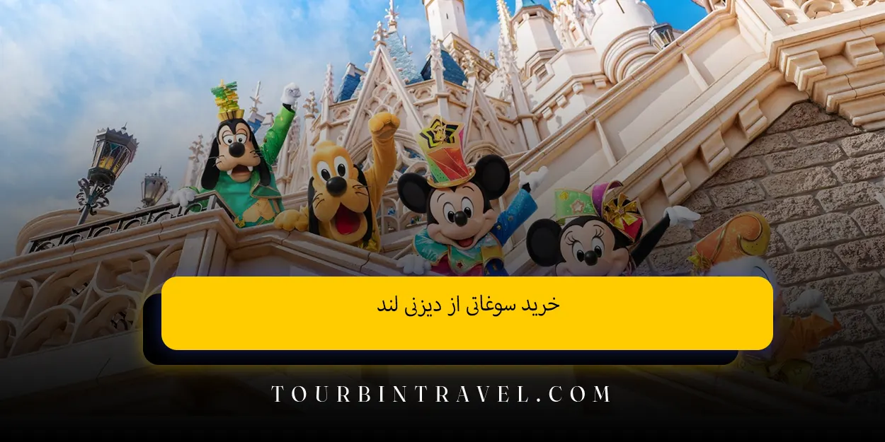 خرید سوغاتی از دیزنی لند